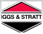 Прочный двигатель Briggs & Stratton обеспечивает надежный запуск и мощность, необходимую для выполнения Ваших задач.